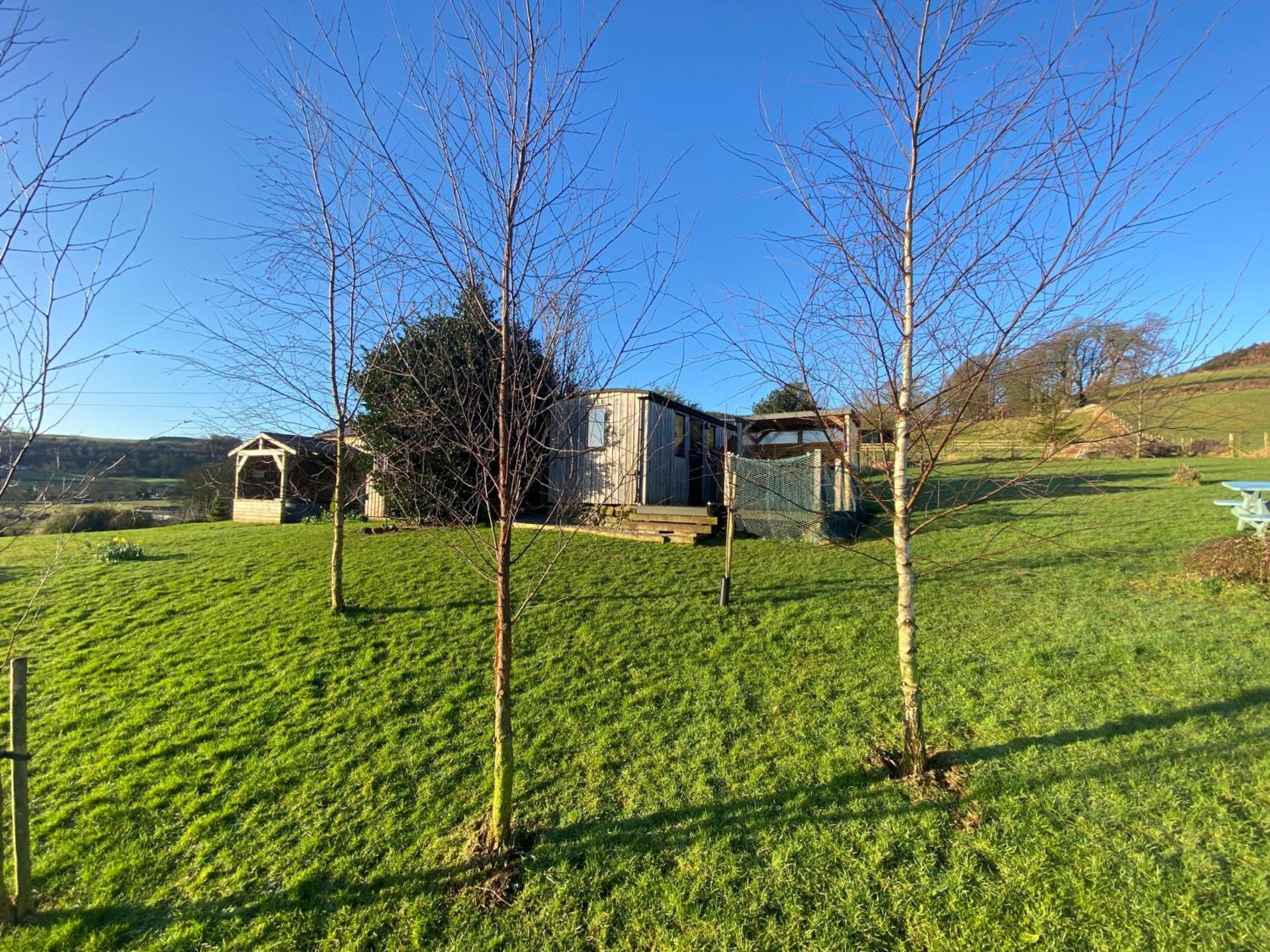 Stunning Shepherds Hut Rural Bliss Dumfries Extérieur photo